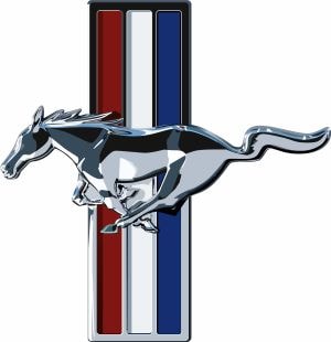 Professional artwork digitizing sample — design converted to clean embroidery file by DST Studio